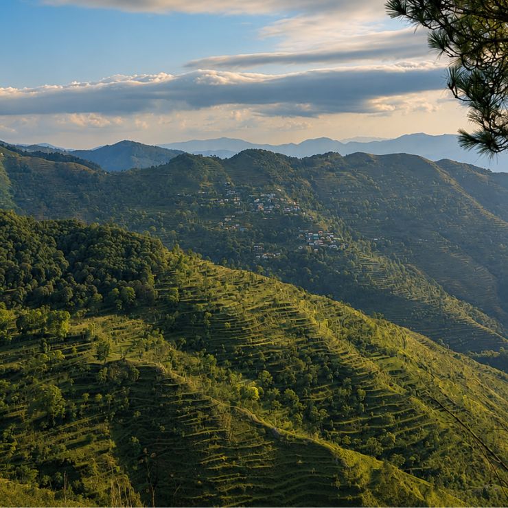 Uttarakhand